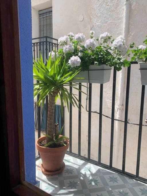 דירות Peñíscola Casa Ziba Casco Antiguo Wifiaa מראה חיצוני תמונה